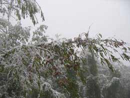 foto paesaggi invernali nevicate 2003 6